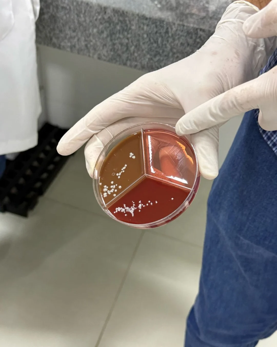 WhatsApp Image 2025-04-28 at 11.53.22 (1)